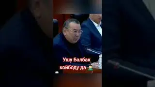 Балбак мактангандан тажабады 🤦🏻‍♂️🤑
