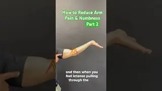 Part 2 - How to reduce arm pain & numbness