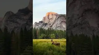 musique relaxante (vidéo complète)