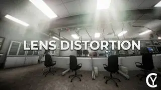 UE - lens distortion polynomial Prototype