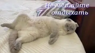 Не мешайте отдыхать