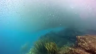 Poseidon Dive Center Diving in Taganga