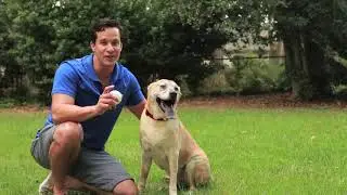 Humble Beginnings: CLAWGUARD Commercial
