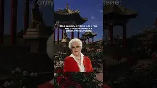 Отпуск #юмор