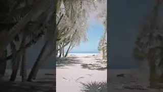 peace not war ✌️❤️