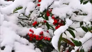 Син янымда булмагач