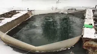 Рыба среди льда.