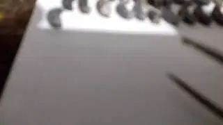 Осмотр расплода пчёл в декабре, на наличие клеща.