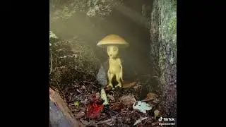 #monster