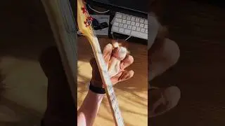 #Basssquirrel plays I want your love by ​⁠@NileRodgers Chic. Original bassline by Bernard Edwards