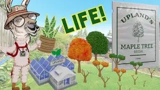 Top 10 Must-Know Insights About Plants and Life in the Upland Metaverse!
