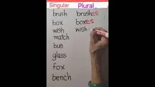 Singular and Plural 