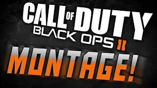 Feeds n Clips OCE Montage