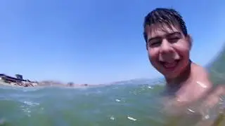 Jaws: Novhani