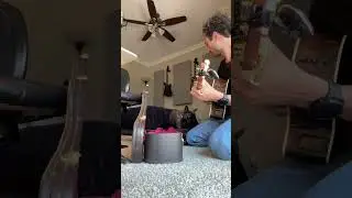 Dog spooked by guitar #guitar #homestudiotour #music