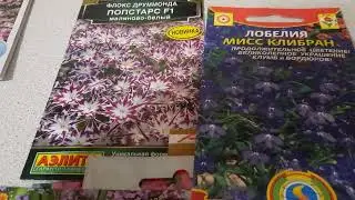 Обзор семян цветов на новый сезон 2025.