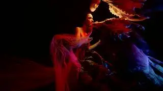 Underwater video shooting. Mermaid with a dragon