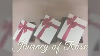 Journey of Rose การเดินทางของดอกกุหลาบ