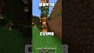100 Days - [Minecraft Shorts] - Day 90 #minecraft #100days