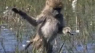 девочка и в болоте девочка