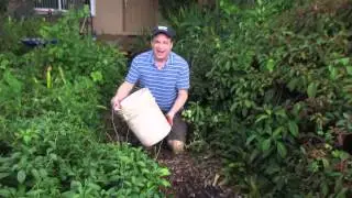 How to create a garden path