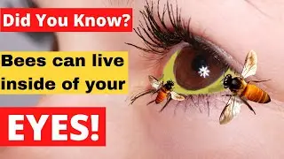 15 Wierd Facts That Are Actually True