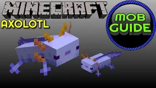 This is Why You Need Axolotl in Minecraft