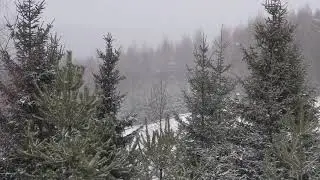 Чемпіонат світу- 2020. Хурделиця перед гонкою.