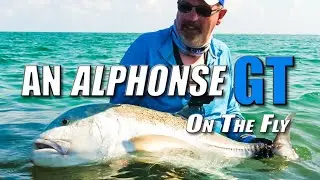 An Alphonse GT: On The Fly
