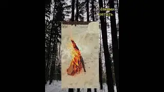 Хорошо было в лесу!