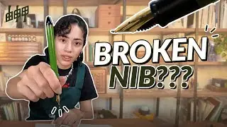 What is a Fude Nib?? & How to Use It!