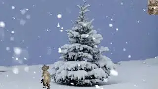 Лучшие новогодние песни на Новый год