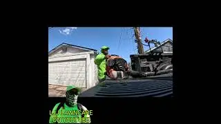 I always started my blower from the bed of the truck and not from the ground #lawncare #cuttinggrass
