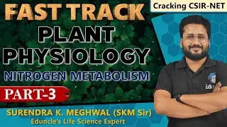 Nitrogen Metabolism (Plant Physiology) with the Basics, Part 3