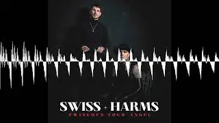 Folge 19 - Liquid Ecstasy auf Autotune - SWISS+HARMS - ZWISCHEN TOUR+ANGEL