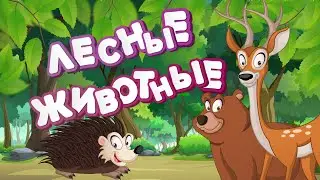 ЛЕСНЫЕ ЖИВОТНЫЕ для детей Мультик для детей развивающие и обучающие мультик