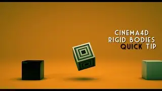#C4D