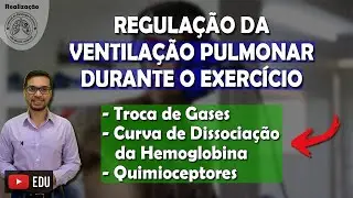 [AULA 2/5] TRANSPORTE DE GASES, HEMOGLOBINA E QUIMICEPTORES