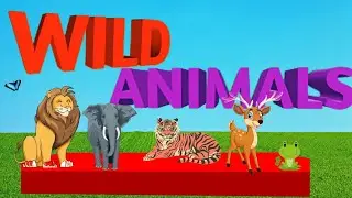 Wild Animals Name || Learn Animal Names || Animal sounds