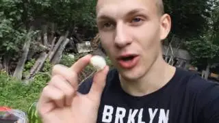 Арбуз + кола + ментос =🎆🎇