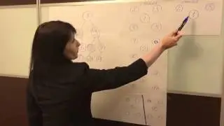 TIRUS  Тренд 2017 года