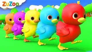 Cinco Patinhos (Canção das Cores) | Músicas Infantis | ZuZoo em Português – Canções Infantis