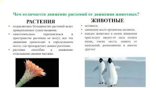 Биология. 6 класс. Движение живых организмов (2020)