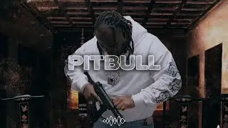 [FREE] Tee Grizzley x Skilla Baby Type Beat - "Pitbull"