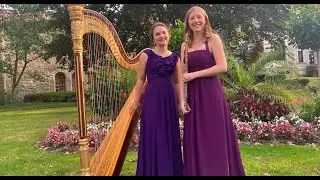 Andriessen Intermezzo for Flute and Harp