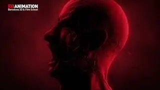 EFECTOS VISUALES 2022 | Reel de Área