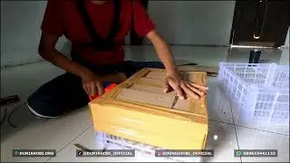 CARA KIRIM BURUNG MERPATI KE LUAR KOTA ATAU KE LUAR PULAU