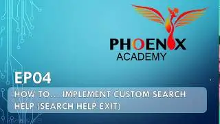 EP04 - How to implement Custom Search Help (Search Help Exit)