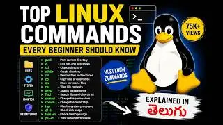 Top Linux Commands Every Beginner Should Know 🚀