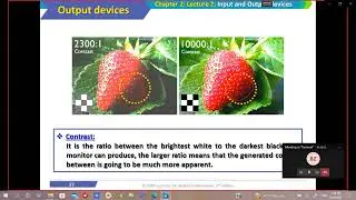 part 5 output devices